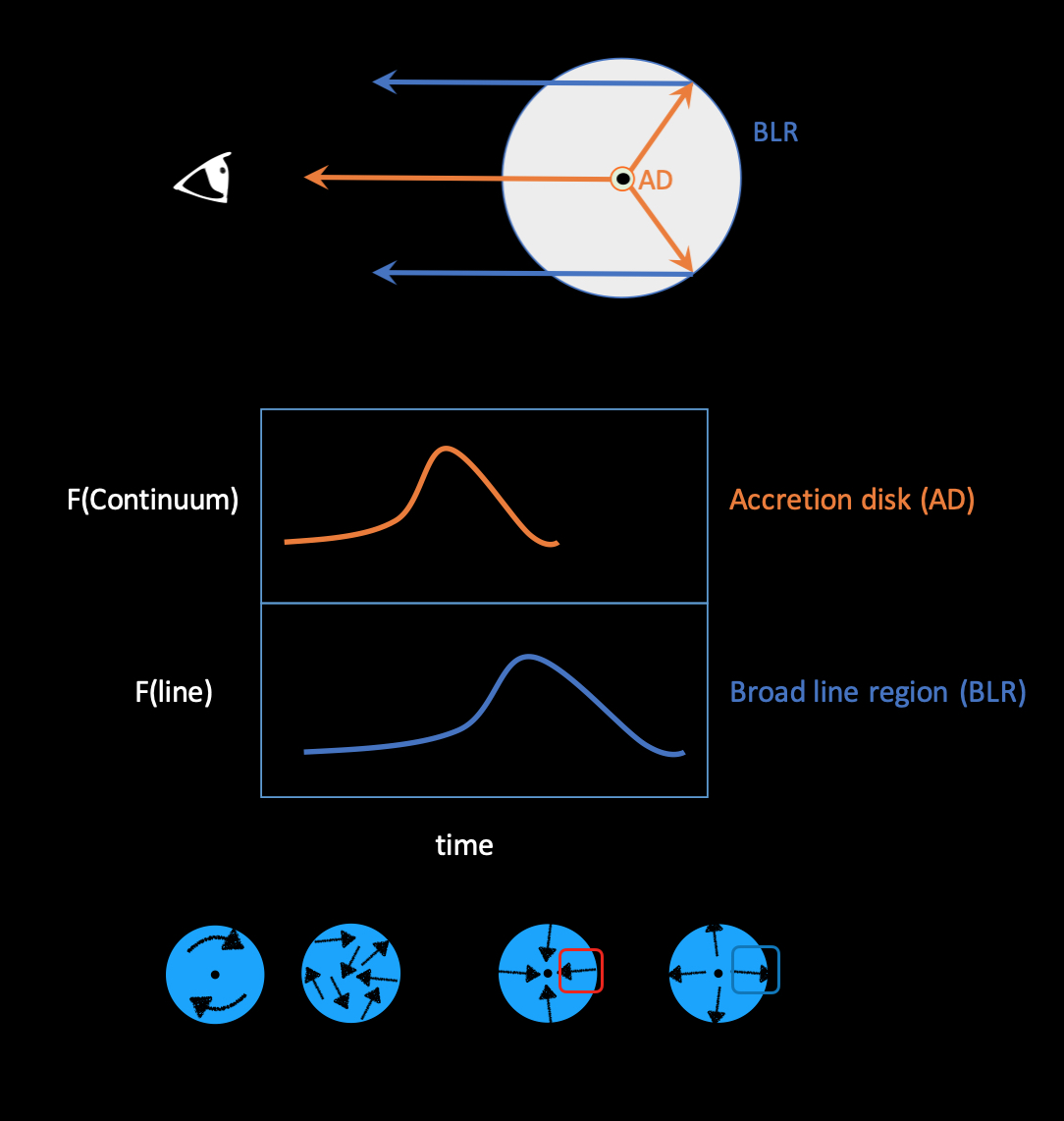 Reverberation mapping